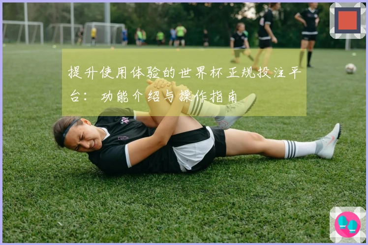 提升使用体验的世界杯正规投注平台：功能介绍与操作指南