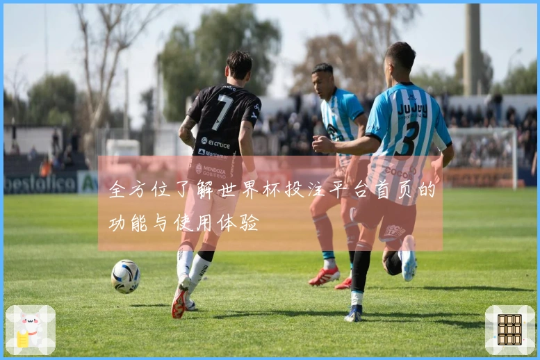 全方位了解世界杯投注平台首页的功能与使用体验