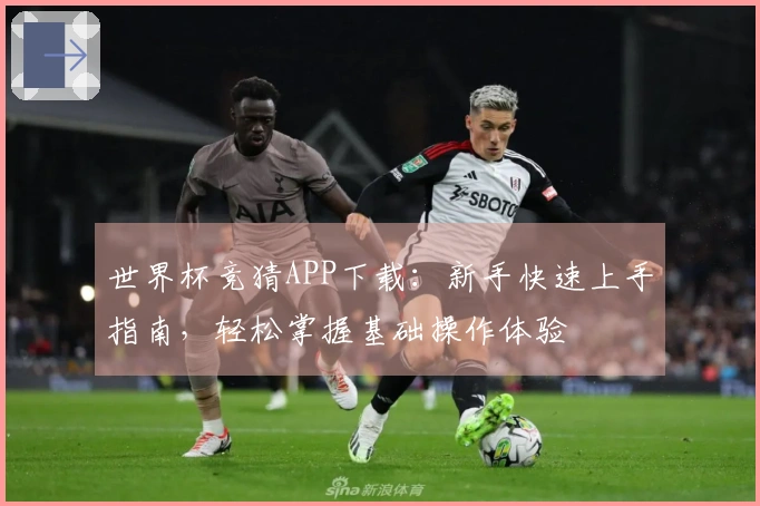 世界杯竞猜APP下载：新手快速上手指南，轻松掌握基础操作体验