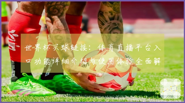 世界杯买球链接:体育直播平台入口功能详细介绍与使用体验全面解析