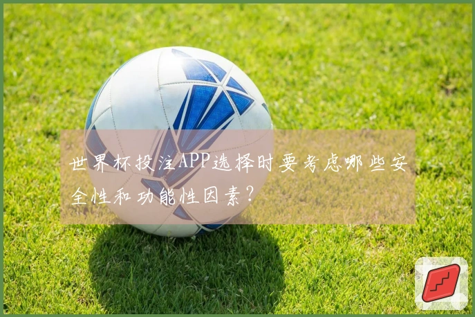 世界杯投注APP选择时要考虑哪些安全性和功能性因素？