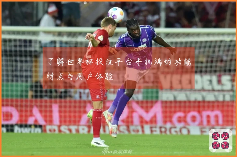 了解世界杯投注平台手机端的功能特点与用户体验