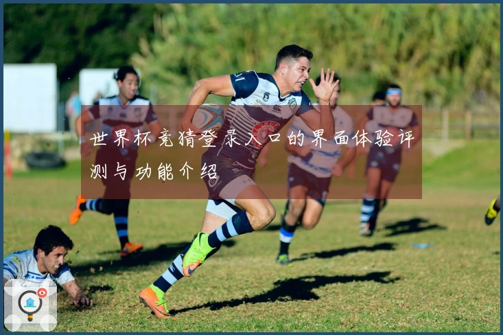 世界杯竞猜登录入口的界面体验评测与功能介绍