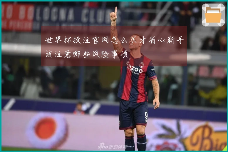 世界杯投注官网怎么买才省心新手该注意哪些风险事项
