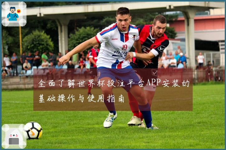 全面了解世界杯投注平台APP安装的基础操作与使用指南