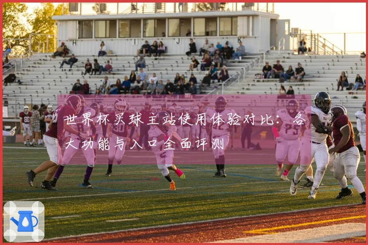 世界杯买球主站使用体验对比：各大功能与入口全面评测
