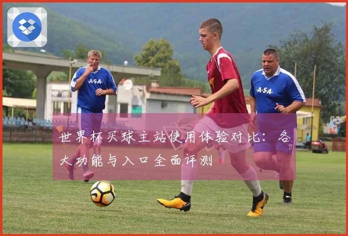 世界杯买球主站使用体验对比：各大功能与入口全面评测