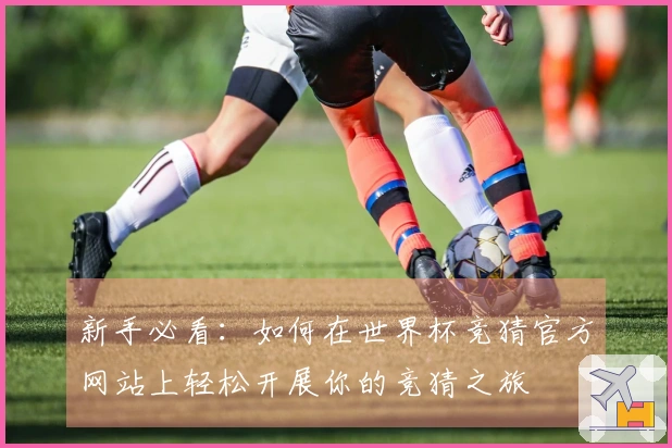 新手必看：如何在世界杯竞猜官方网站上轻松开展你的竞猜之旅
