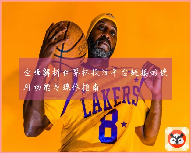 全面解析世界杯投注平台链接的使用功能与操作指南